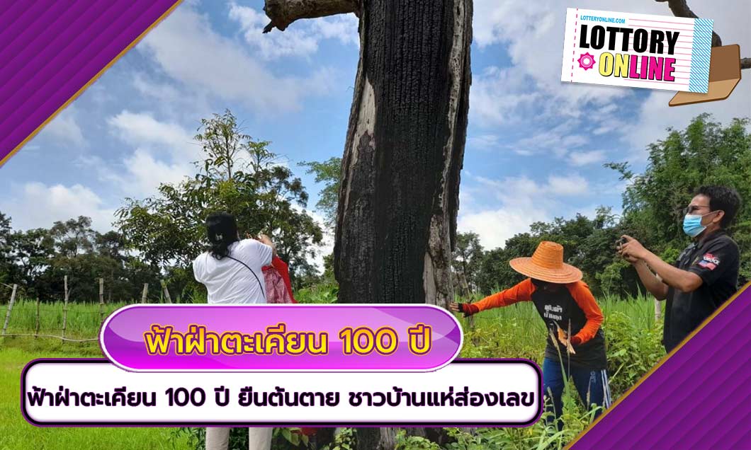 หวยออก รวยแน่…! ฟ้าฝ่าตะเคียน 100 ปี ยืนต้นตาย ชาวบ้านแห่ส่องเลข