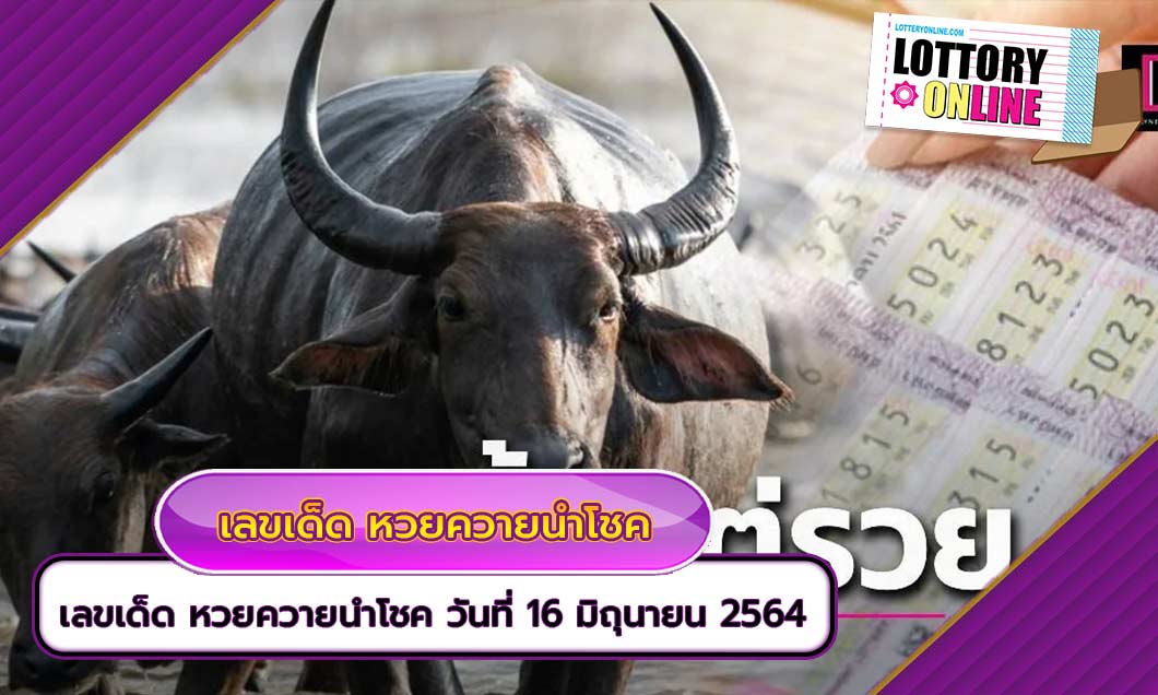 เลขเด็ด หวยควายนำโชค ประจำงวด วันที่ 16 มิถุนายน 2564