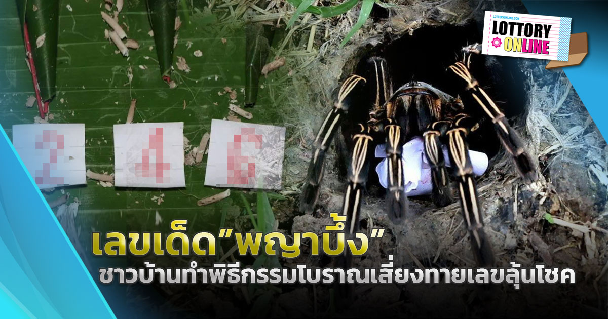 หวยเด็ดงวดนี้ 16/4/66 ทำพิธีเสี่ยงทาย “พญาบึ้ง” ลุ้นโชคโค้งสุดท้าย