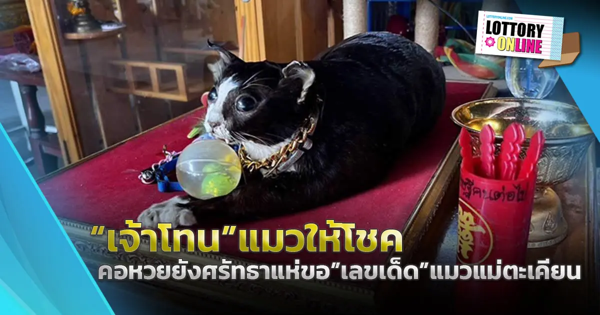 เลขเด็ด โผล่ชัดๆ 3 ตัว คอหวยจุดธูปขอโชค เจ้าโทน แมวแม่ตะเคียน